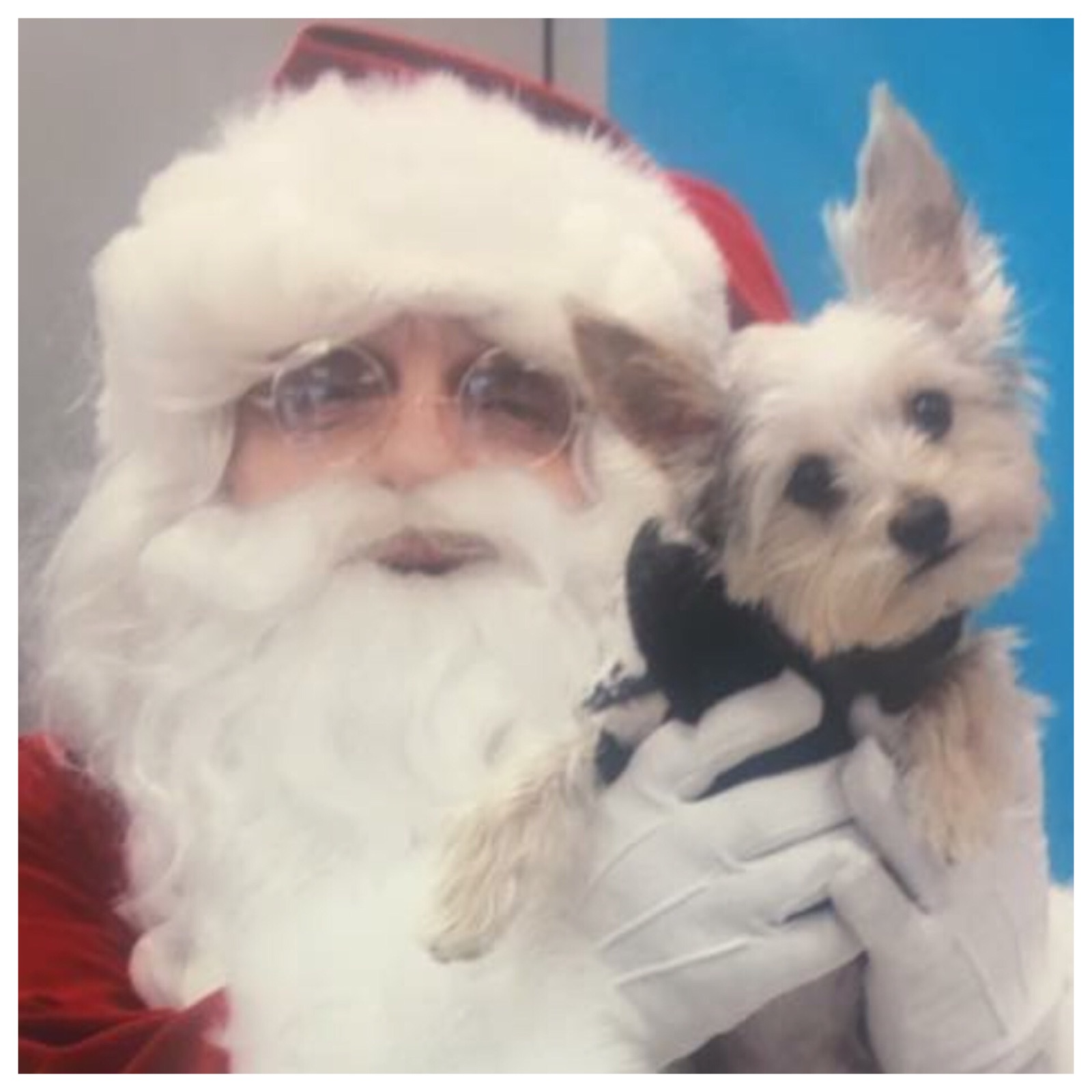 Santa with dog image